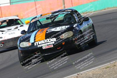 media/May-04-2024-Lucky Dog Racing (Sat) [[d39539b3f3]]/Practice I Qualifying (Turn 4a)/
